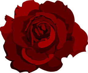 Red Rose, Simple Icon With Transparent Background