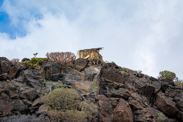 hermit's hut in a stone cactus valley on a hill