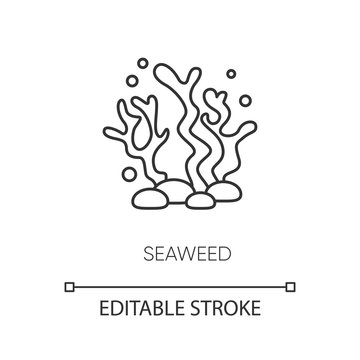Seaweed pixel perfect linear icon. Natural component. Skincare treatment. Marine grass extract. Thin line customizable illustration. Contour symbol. Vector isolated outline drawing. Editable stroke