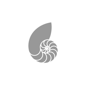 Nautilus Shell Logo Photos Royalty Free Images Graphics Vectors Videos Adobe Stock