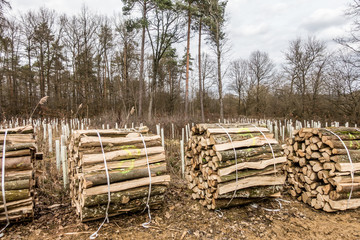 Frisch gefälltes und verpacktes Stammholz