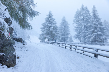 Winterlicher Wanderweg