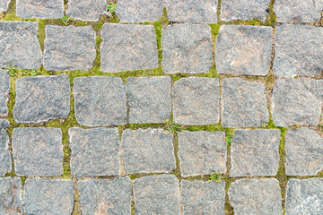 grey stone background from old square paver bricks and green grass between them for designs