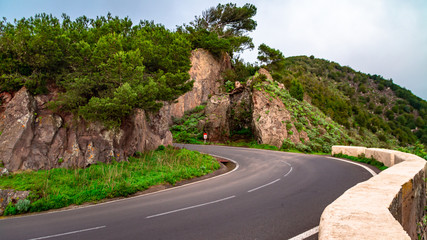 Driving route for car trip through the forest and haze. Alpine road with limited visibility in...