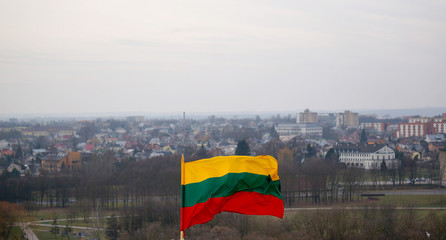 The Lithuanian flag is waving in tricolor over the city