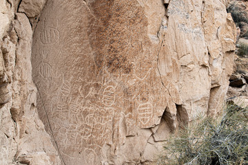 The Martian Home Petroglyph Panel has deeply grooved rock art symbols and several unique forms that...