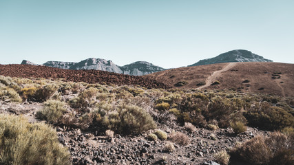 Popular Canarian islands landmark. Lava fields in Teide national park.