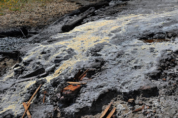 Active mud (clay and bitumen) volcano on the outskirts of the village Starunja in Carpathian. Spills of crude oil on the soil surface. Crater of the mud volcano.