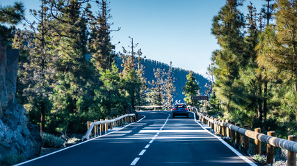 Driving route for car trip through the forest. Alpine road in Teide national park to Corona...