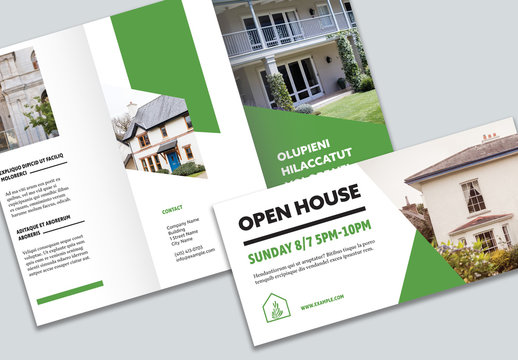 Business Flyer Layout Set with Green Accents