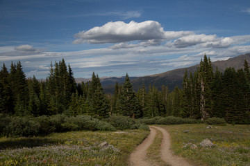 Fototapeta premium road in the mountains