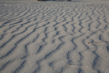 sand dunes on the beach