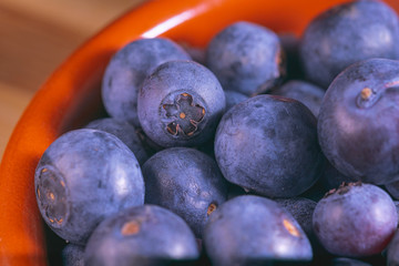 freshly harvested blueberries macro