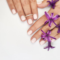 top view female young hands with pink nail polish manicure and lilac spring and hyacinth flowers on a white background. close view, place for text, flatlay
