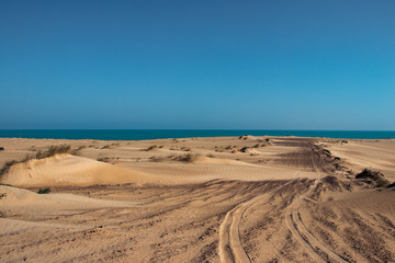 ocean view from Wahiba sand desert in Oman