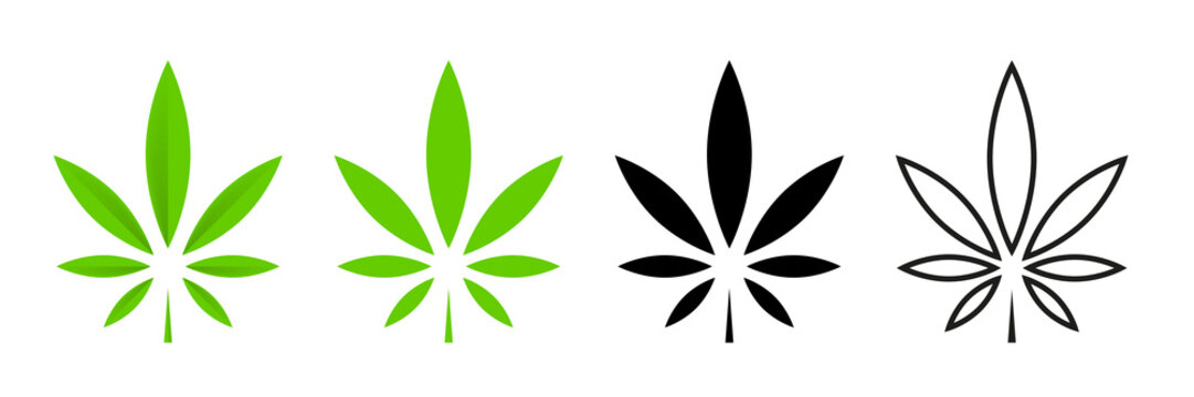 Cannabis leafs vector isolated icon. Vector illustration. Cbd cannabis sign hemp oil. Marijuana icon set. Cannabis icon weed icon vector.