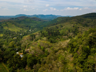 Fototapeta na wymiar Dschungel-Panorama