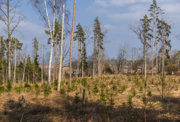 Beautiful green nature landscape of Europe