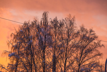 Obraz premium Beautiful green nature landscape of Europe