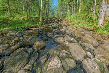 Beautiful green nature landscape of Europe