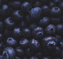 close up of Blueberry fruit