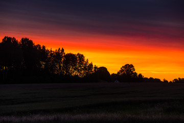 Beautiful green nature landscape of Europe