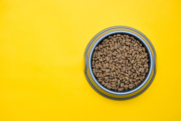 Gray plastic bowl full of with dry animal feed on the yellow background. Top view. Copy, empty space for text