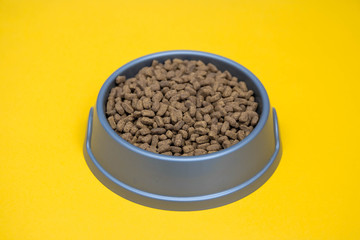 Gray plastic bowl full of with dry animal feed on the yellow background. Copy, empty space for text