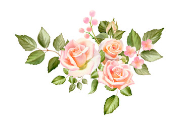 Watercolor tender bouquet with blush  roses, leaves and buds isolated on a white background. The trendy elegant design for wedding invitation, poster, greeting cards and web design.
