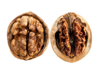 Two open walnuts in a shell , a good walnut and a spoiled walnut, isolate on a white background