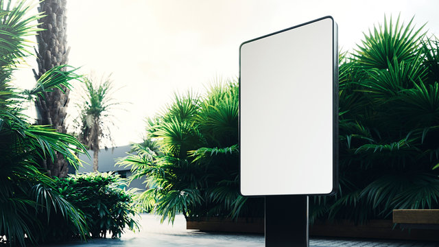 Illuminated empty electronic billboard with copy space for your text message or content. Advertising mock up with green palm trees on the background. Blank public information board. 3D render.