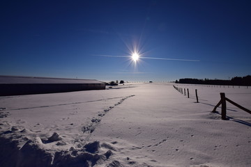 Blue sky with sun over snowy fields