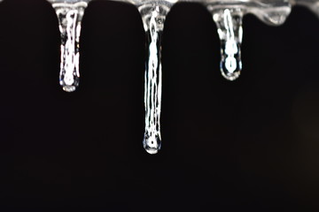 Macro photograph of icicles against a black background