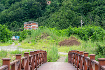 Fototapeta premium Houses among trees in Black Sea region and blurred wooden bridge on the creek