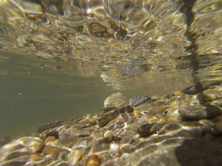 Underwater In A River