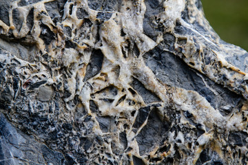 The texture of the stone. Background. Close-up.
