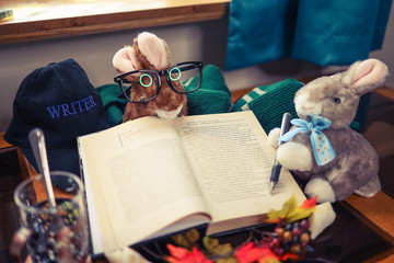 Bunny and Book