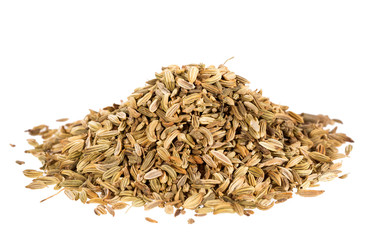 Foeniculum vulgare - Dry organic fennel seeds