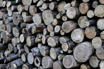 Firewood. Round logs folded for storage.