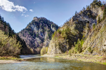 Dunajec river gorge in spring