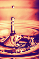 gota