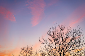 Obraz premium Beautiful Brooklyn winter sky with clouds at red sunset.