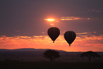 Dawn at Serengeti National Park, Tanzania, Africa