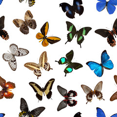 seamless colorful butterfly pattern on a white background