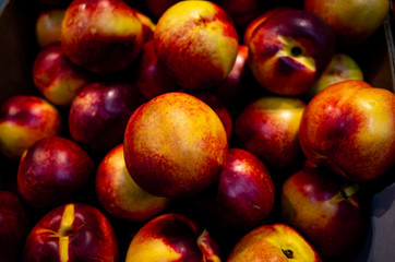 Nectarine fruit