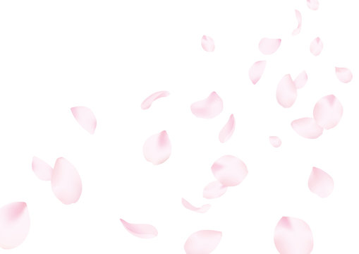 桜吹雪 の画像 354 439 件の Stock 写真 ベクターおよびビデオ Adobe Stock