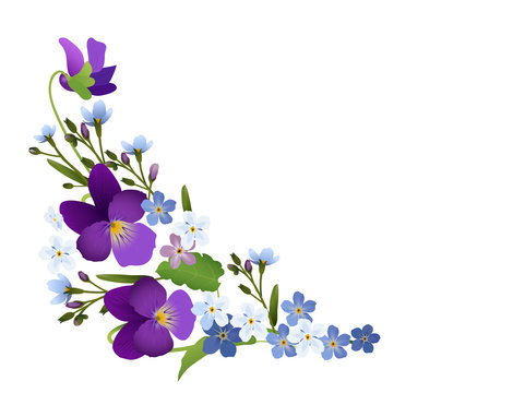 Ornament von Veilchen und Vergissmeinnicht Blumen,   Vektor Illustration isoliert auf wei&szlig;em Hintergrund
