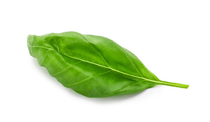 Fresh green basil leaf isolated on white