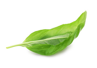 Fresh green basil leaf isolated on white