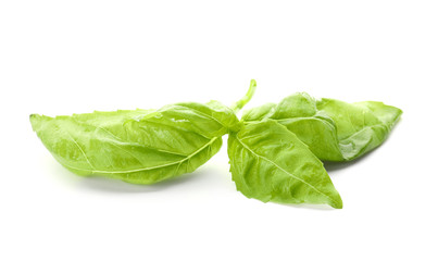 Fresh green basil leaves isolated on white